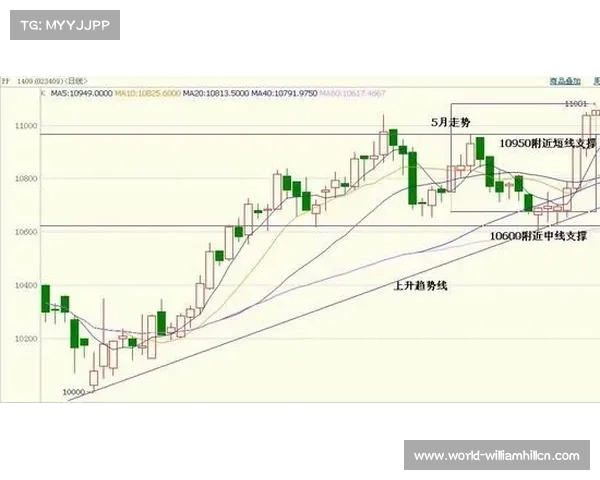 三笘薰续约前后状态对比引发关注表现大幅波动难解迷局