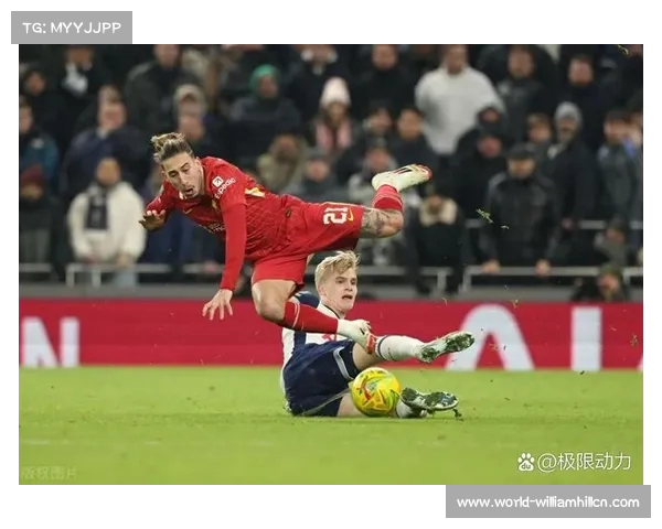 利物浦鸟象征的深意与热刺背后的鸟类文化探讨 利物浦鸟象征的深意与热刺背后的鸟类文化探讨